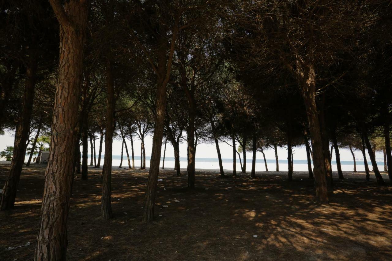 Pine-Tree Apt W/ Private Garden 50 M From The Sea 格勒姆 外观 照片