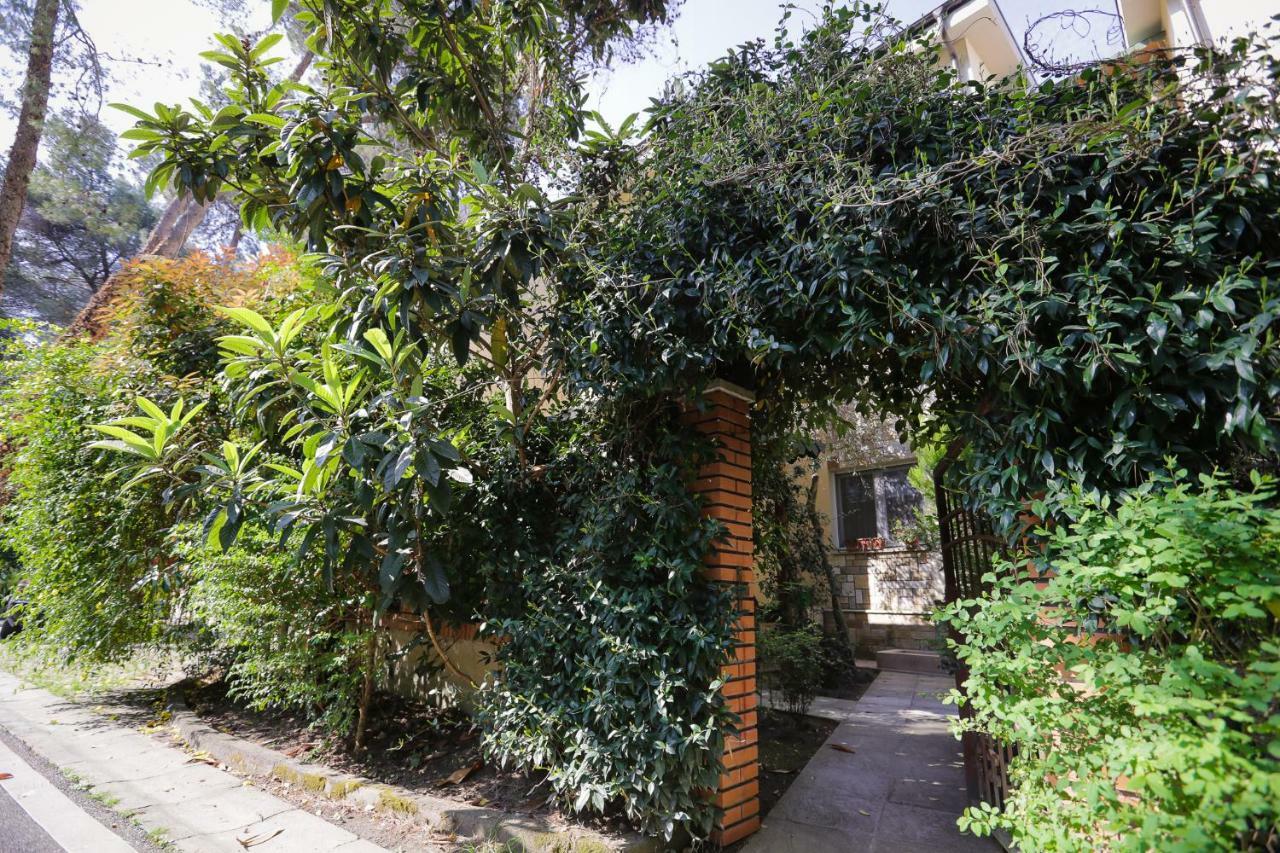 Pine-Tree Apt W/ Private Garden 50 M From The Sea 格勒姆 外观 照片