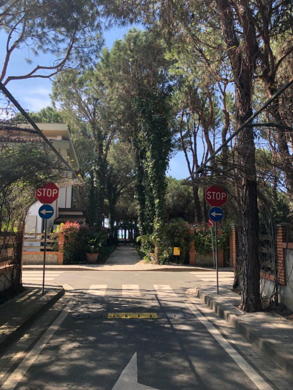 Pine-Tree Apt W/ Private Garden 50 M From The Sea 格勒姆 外观 照片
