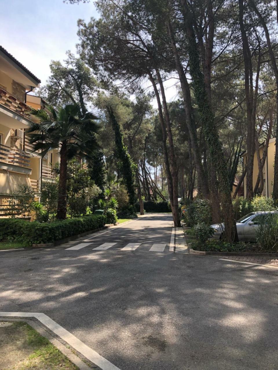 Pine-Tree Apt W/ Private Garden 50 M From The Sea 格勒姆 外观 照片