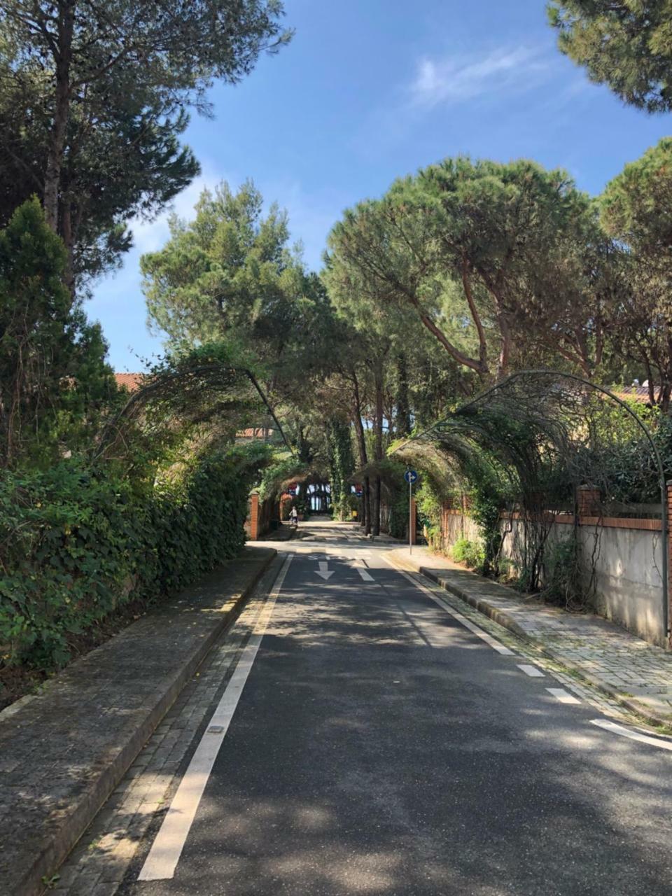 Pine-Tree Apt W/ Private Garden 50 M From The Sea 格勒姆 外观 照片